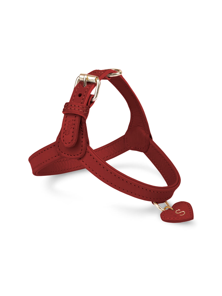 Thkfish Support Canne A Peche Porte Canne A Peche Clips De Canne À Thkfish Support Canne A Peche Porte Canne A Peche Clips De Canne À