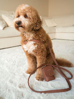 Hundegeschirr Leder braun