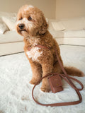 Hundegeschirr Leder braun