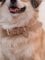 Collier en cuir beige pour chien