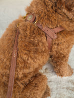 Hundegeschirr Leder braun