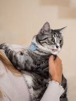 Collier pour chat en cuir bleu