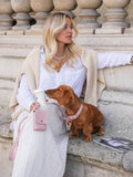 Collier en cuir rose pour chien