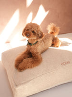 Cojín Perro Bouclé Crudo