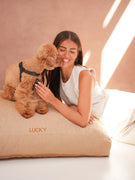 Dog Cushion Bouclé Light Brown