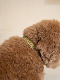 Dog Collar Green