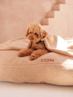 Dog Cushion Teddy Beige