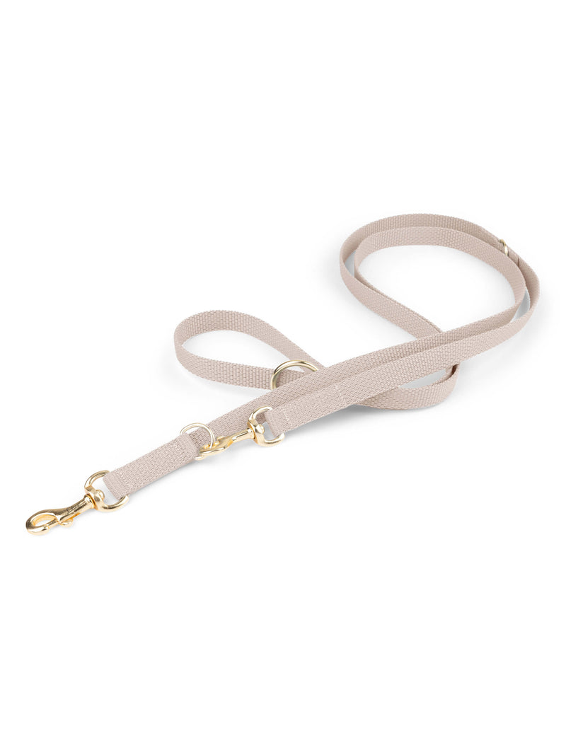 Laisse pour chien mains libres beige