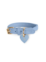 Collier pour chat en cuir bleu