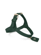 Harnais en cuir vert pour chien