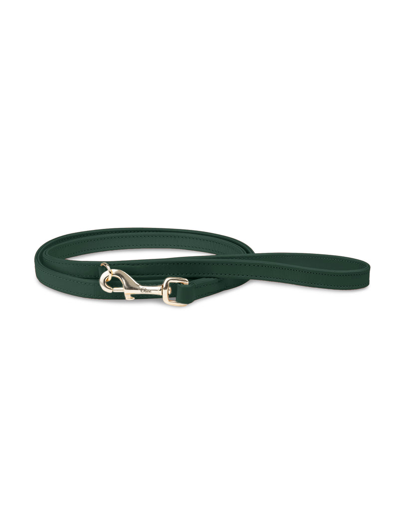 Hondenriem Leer Groen