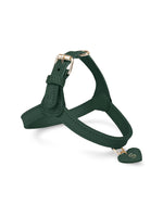 Harnais en cuir vert pour chien