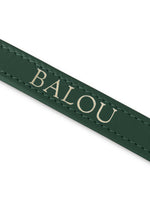 Dog Leash Leather Green