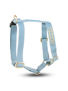 Dog Harness Blue