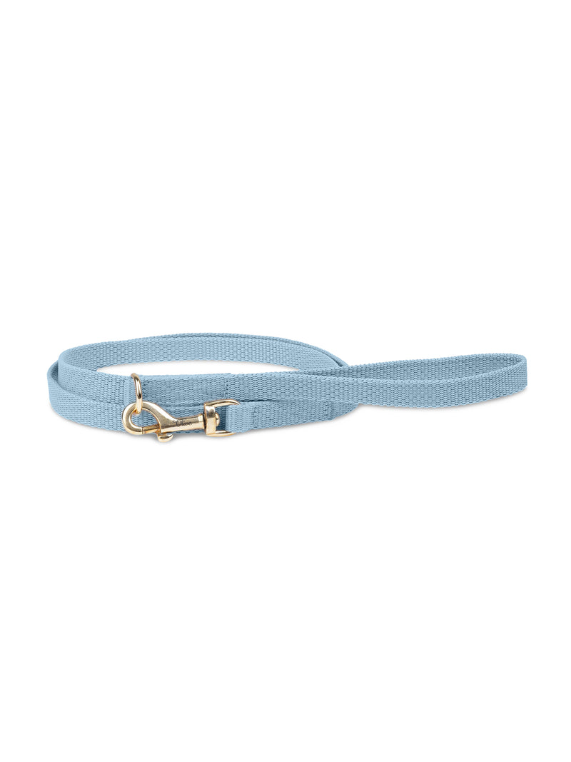 Correa azul para perro
