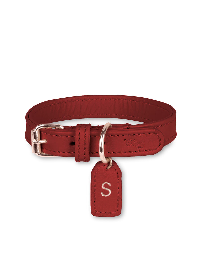 Collier en cuir rouge pour chien