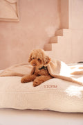 Hondenkussen Teddy Créme
