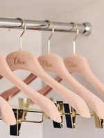 Clothing Hanger with Clips