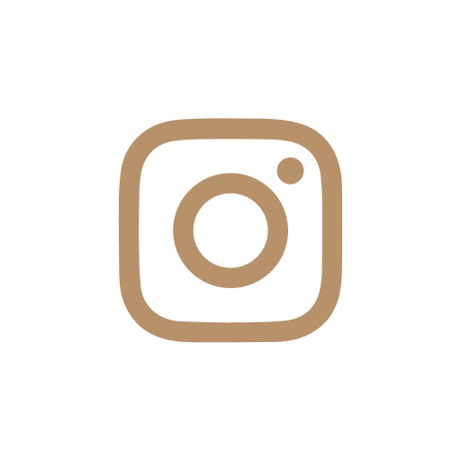 Instagram Icon